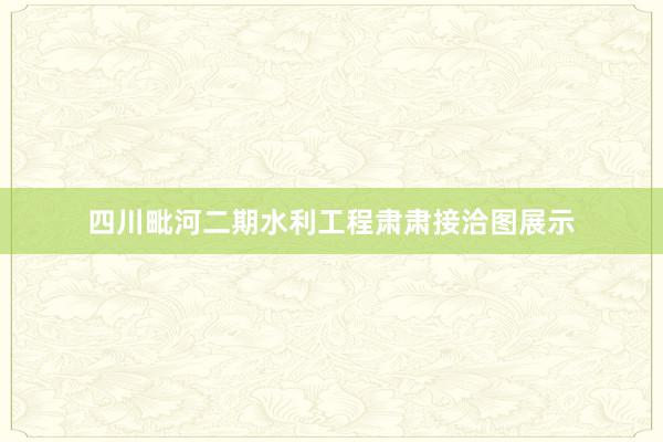 四川毗河二期水利工程肃肃接洽图展示